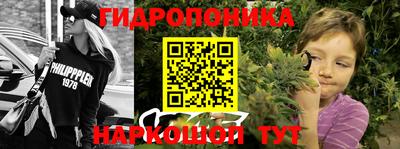 ГАЛЛЮЦИНОГЕННЫЕ ГРИБЫ Камышлов