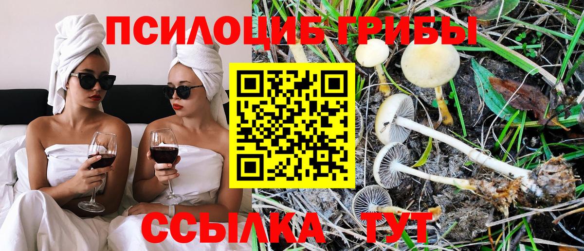 Псилоцибиновые грибы мухоморы Дзержинск